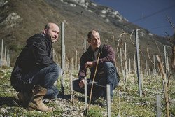Vin blanc de Savoie Chignin "Argile" 75 cl Berthollier AOP
