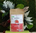 Fraises sches bio 50 gr Bioloklock